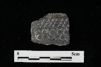 陶器藏品圖，第3張