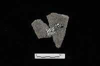 陶器藏品圖，第1張