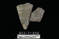 陶器藏品圖，第3張