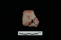 陶片藏品圖，第2張