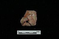 陶片藏品圖，第1張