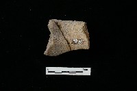 陶罐藏品圖，第2張