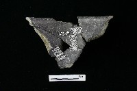 陶罐藏品圖，第1張