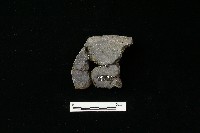 陶罐藏品圖，第2張