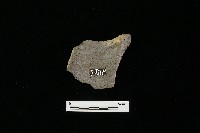 陶罐藏品圖，第3張