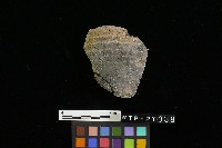 陶罐藏品圖，第2張
