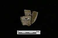 陶罐藏品圖，第2張