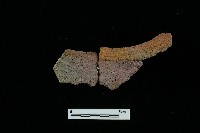 陶罐藏品圖，第3張