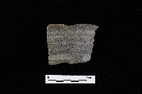 陶罐藏品圖，第1張