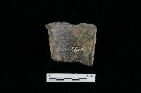 陶罐藏品圖，第2張