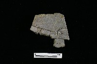 陶罐藏品圖，第1張