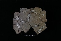 陶片藏品圖，第2張