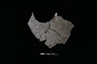 陶罐藏品圖，第1張