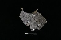 陶罐藏品圖，第3張