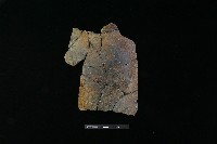 陶罐藏品圖，第2張