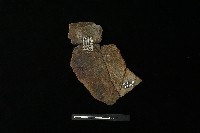 陶罐藏品圖，第2張