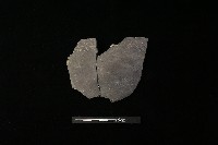 陶片藏品圖，第2張