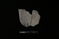 陶片藏品圖，第1張