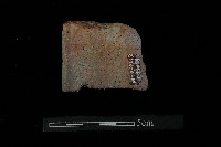 陶片藏品圖，第3張