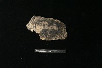 陶片藏品圖，第1張