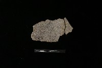 陶片藏品圖，第2張