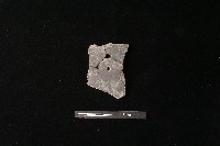 陶片藏品圖，第2張