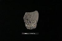 陶片藏品圖，第2張