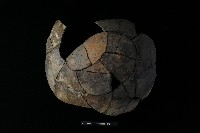 陶片藏品圖，第2張