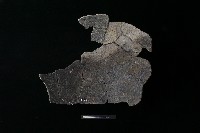 陶片藏品圖，第2張