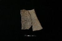 陶片藏品圖，第2張