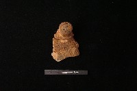 陶蓋鈕藏品圖，第1張