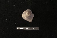 陶把藏品圖，第2張