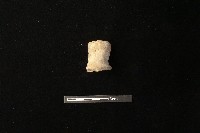 陶蓋鈕藏品圖，第1張