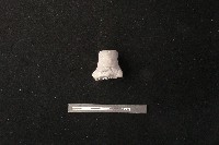 陶蓋鈕藏品圖，第2張