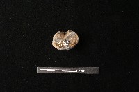 陶蓋鈕藏品圖，第3張