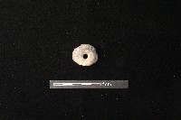 紡輪藏品圖，第2張