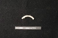 陶環藏品圖，第1張