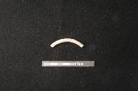 陶環藏品圖，第2張