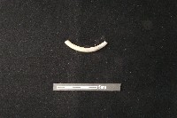 陶環藏品圖，第1張