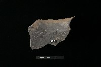 陶罐藏品圖，第2張