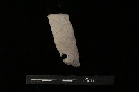 陶片藏品圖，第3張