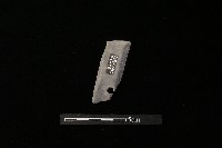 陶片藏品圖，第1張