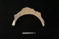 陶罐藏品圖，第3張