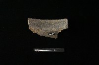 陶罐藏品圖，第3張