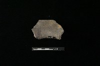 陶罐藏品圖，第2張