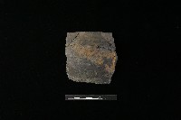 陶缽藏品圖，第1張