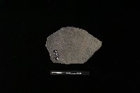 陶片藏品圖，第2張