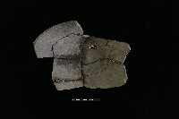 陶缽藏品圖，第1張