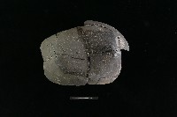 陶缽藏品圖，第3張