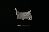 陶罐藏品圖，第1張